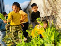 -硅谷蒙学幼儿园