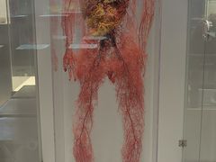 -生命奥秘博物馆