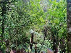 -怀托摩萤火虫洞