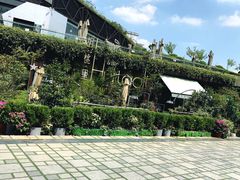 -胡桃里音乐酒馆(环亚凯瑟琳广场店)