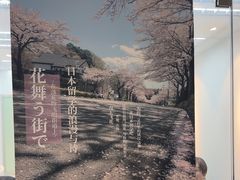 -樱花国际日语(人广中心)