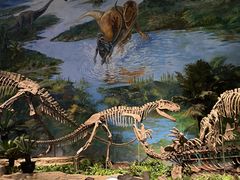 -自贡恐龙博物馆