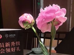 -淮扬府·游园京梦(北京SKP店)