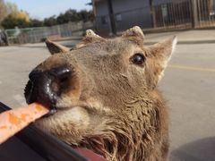 -南京金牛湖风景区