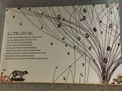 -猫屎咖啡(日月光中心广场店)