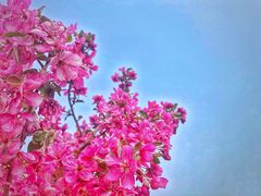 -济南国际园博园