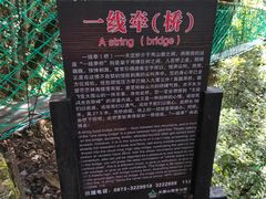 -云南屏边大围山国家公园