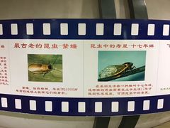 -上海昆虫博物馆