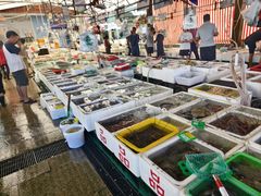 -外伶仃岛海鲜市场