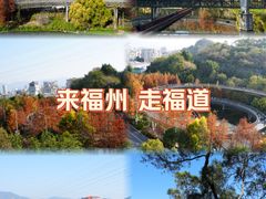 -福道