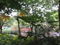 -新江湾城公园