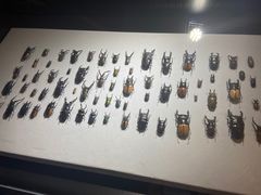 -燕莎友谊商城(亮马桥店)