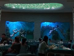 -瑞德姆美人鱼海底演艺主题餐厅(亚龙湾店)