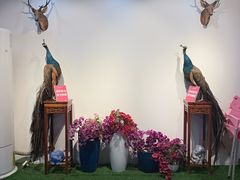 -傣庄园-正宗傣味餐厅·孔雀宴·手抓饭(告庄星光夜市店)