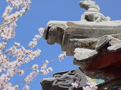 -桃花堤公园