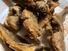 -康陵正德春饼宴26号