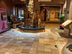 -恒坤北纬42度温泉洗浴(公园路店)