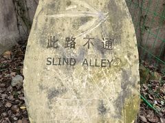 -上海佘山国家森林公园天马山园