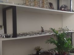 -杨兮眼视光工作室