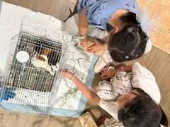 -HERRE·FARM 赫尔露营农场·团建聚会包场