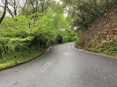 -西湖风景区-江洋畈生态公园