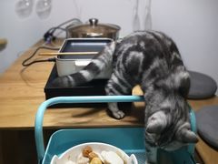 -布吉佳兆业广场