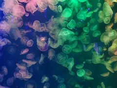 -成都浩海立方海洋公园