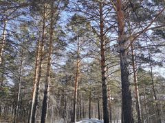 -北极村旅游风景区