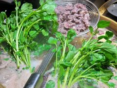 -潮汕三宝鲜牛肉火锅