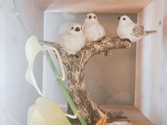 -ZING COFFEE 镜咖啡