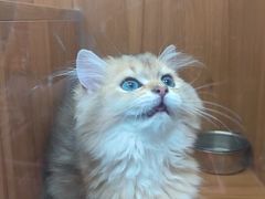 -汤姆宠物(长青北路店)