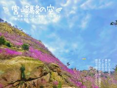 -青岛大珠山景区