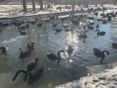 -新疆天山野生动物园