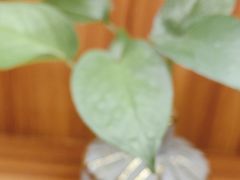 -香山湖渔家大院