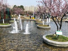 -白塘生态植物园