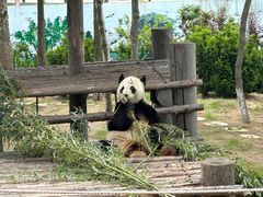 -西霞口神雕山野生动物世界