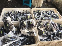 -菜园坝水果市场