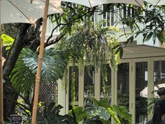-Fern Forest Cafe