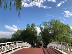 -大兴滨河森林公园