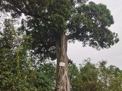 -金堂县云顶石城风景区