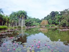 -中国科学院西双版纳热带植物园