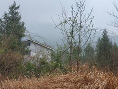-四川大学(望江校区)