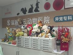 -瑞派·关忠动物医院猫科外科·异宠·24小时转诊中心(祥云店)