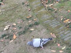 -阿育王寺