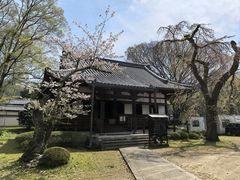 -醍醐寺