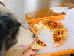 -汪说喵讲宠物乐园宠物酒店(红星美凯龙店)