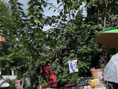 -大理床单厂艺术区