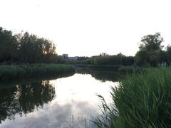 -中关村生命科学园