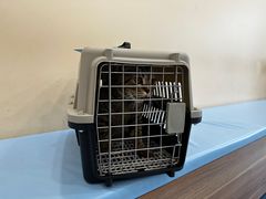 -萌兽医馆·犬猫专科·眼科中心·宠物医院(朝阳门分院)
