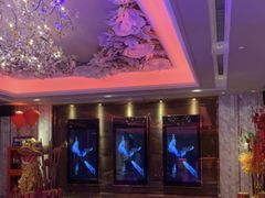 -纯K(打浦桥店)